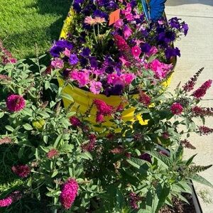 Meet your Posher, ERogers